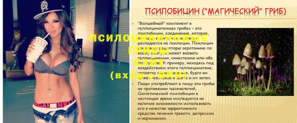 стаф Абдулино
