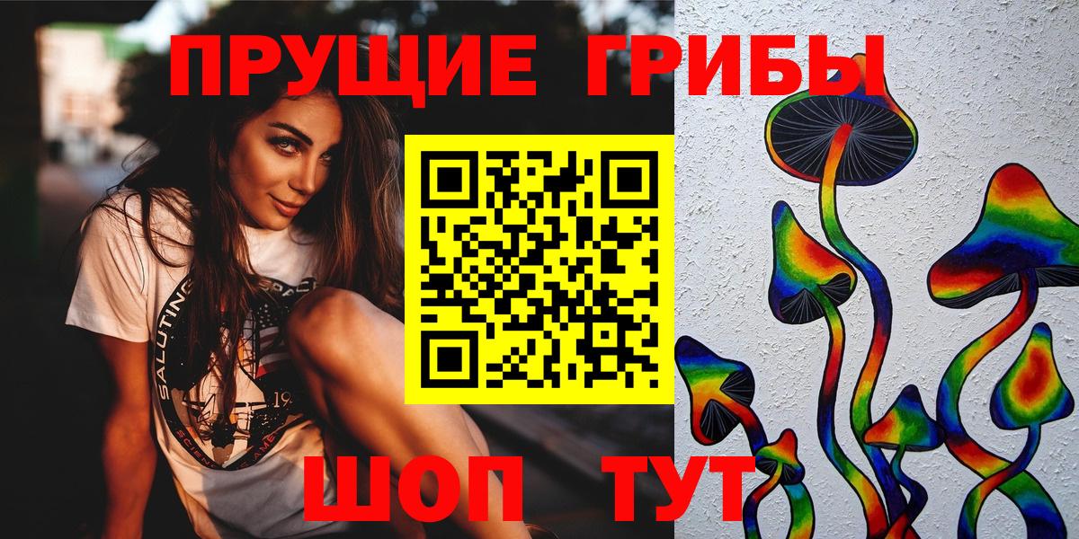 Псилоцибиновые грибы Psilocybine cubensis Азов